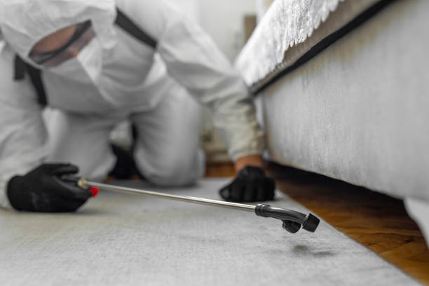 Professional Cockroach Control technician working in Monroe Manor, NJ