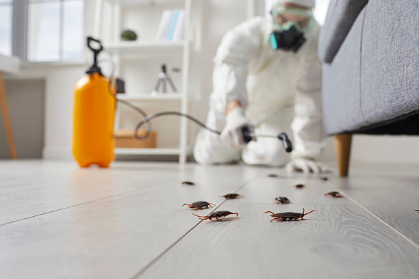 Trusted Rodent Control service in Monroe Manor, NJ - Nex Pest Control