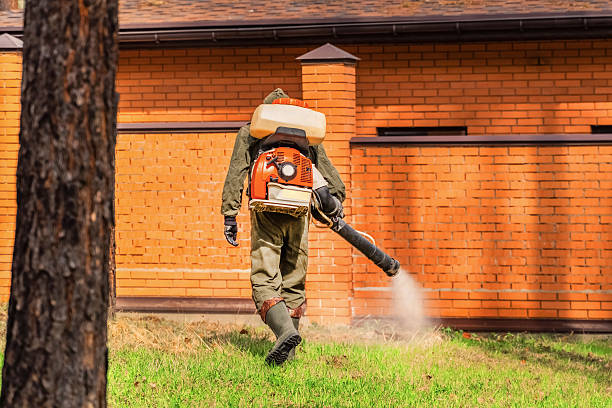 Trusted Bed Bug Control service in Monroe Manor, NJ - Nex Pest Control